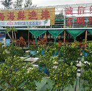 黄海逆转劲旅海湾,成功止步颓底 黄海逆转劲旅海湾,成功止步颓底