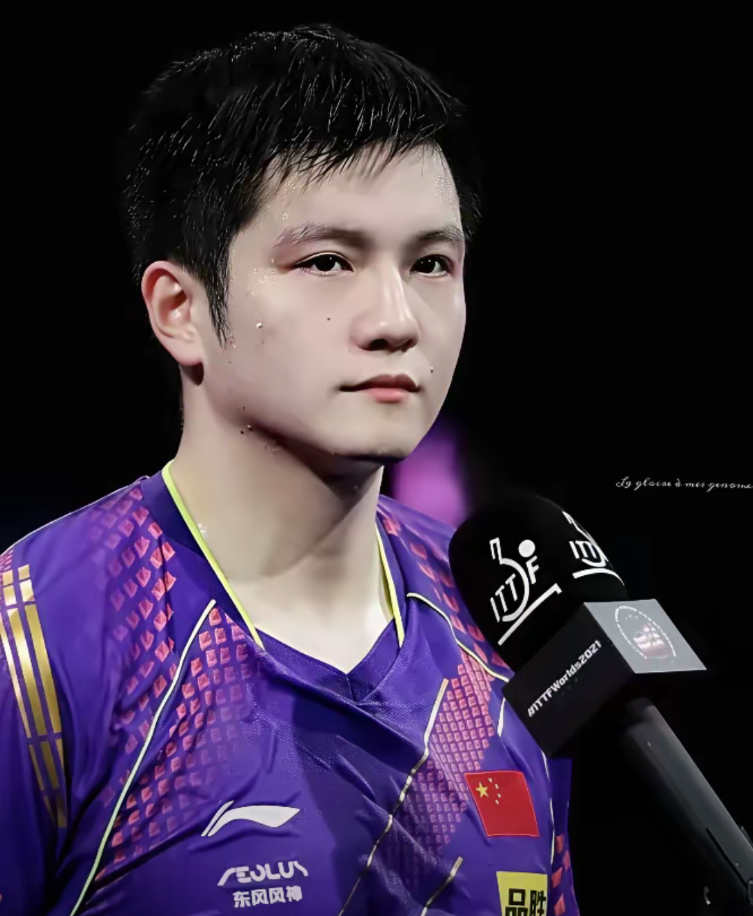 中国队逆转瑞典队,樊振东关键制胜 中国队逆转瑞典队,樊振东关键制胜