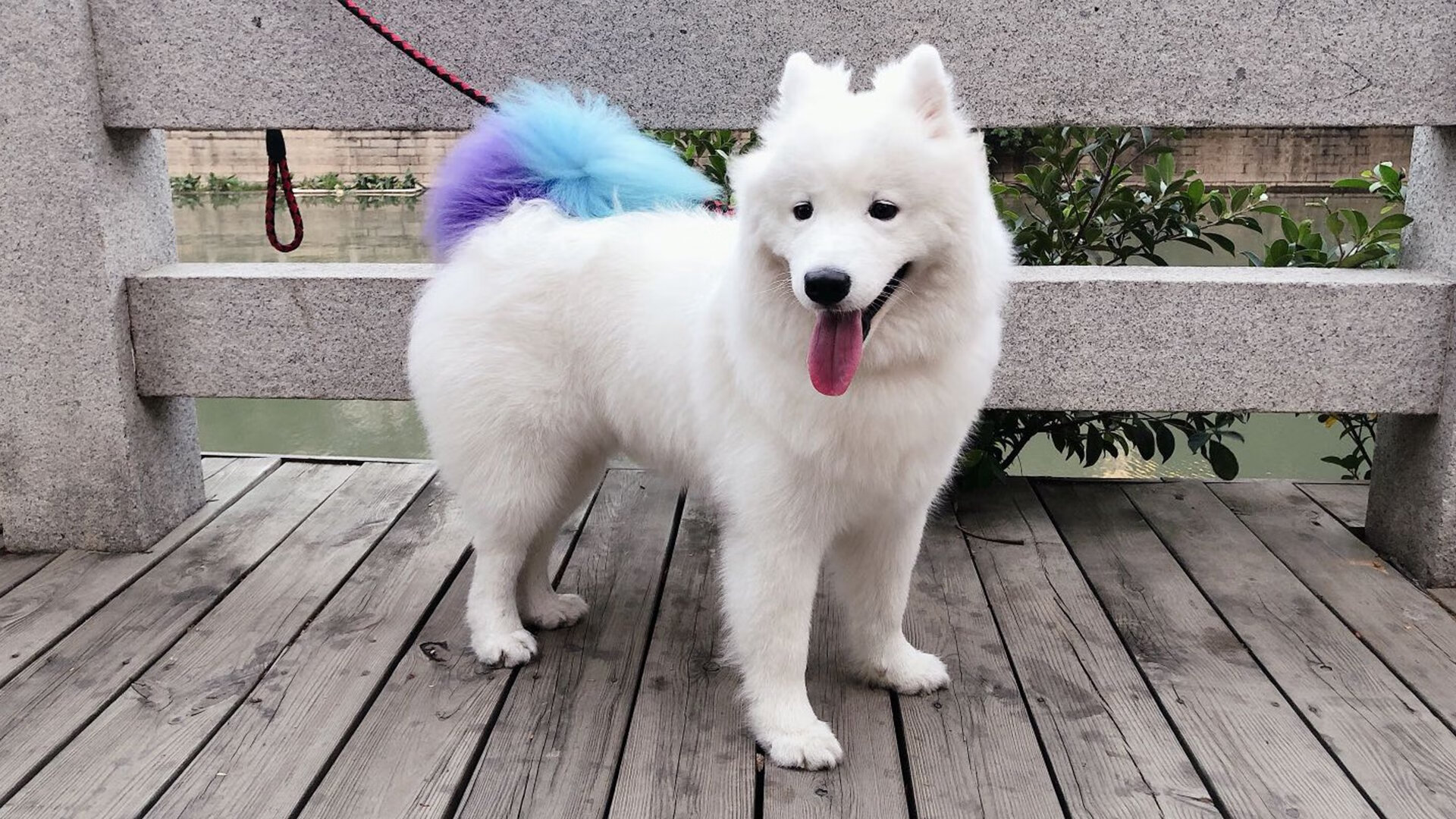 火力压制下的逆转,厄德高在年度焦点之战中接管比赛