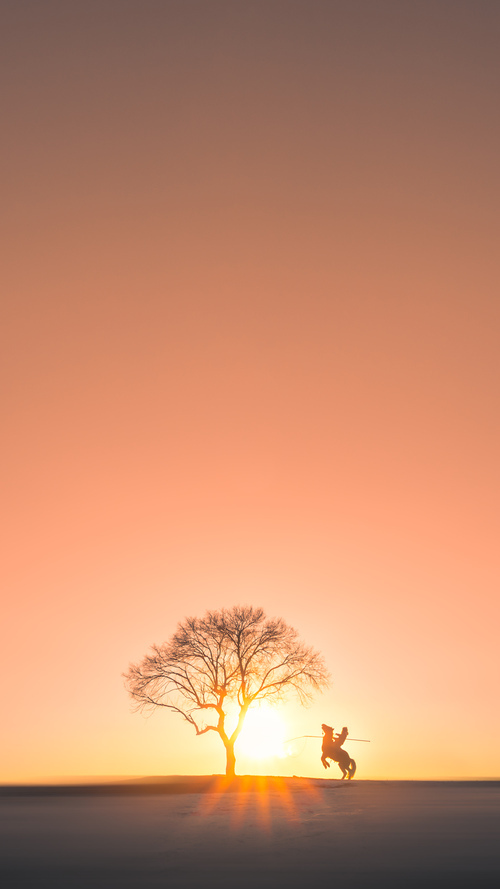 撕裂夜色的咆哮,莱奥完成自我救赎,加纳血拼雷恩