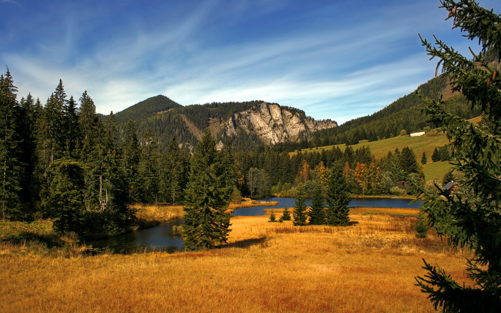 CBA巨人杀手?当广东队用东方智慧给NBA的76人上了一课,浓眉统治级数据下被掩盖的真相