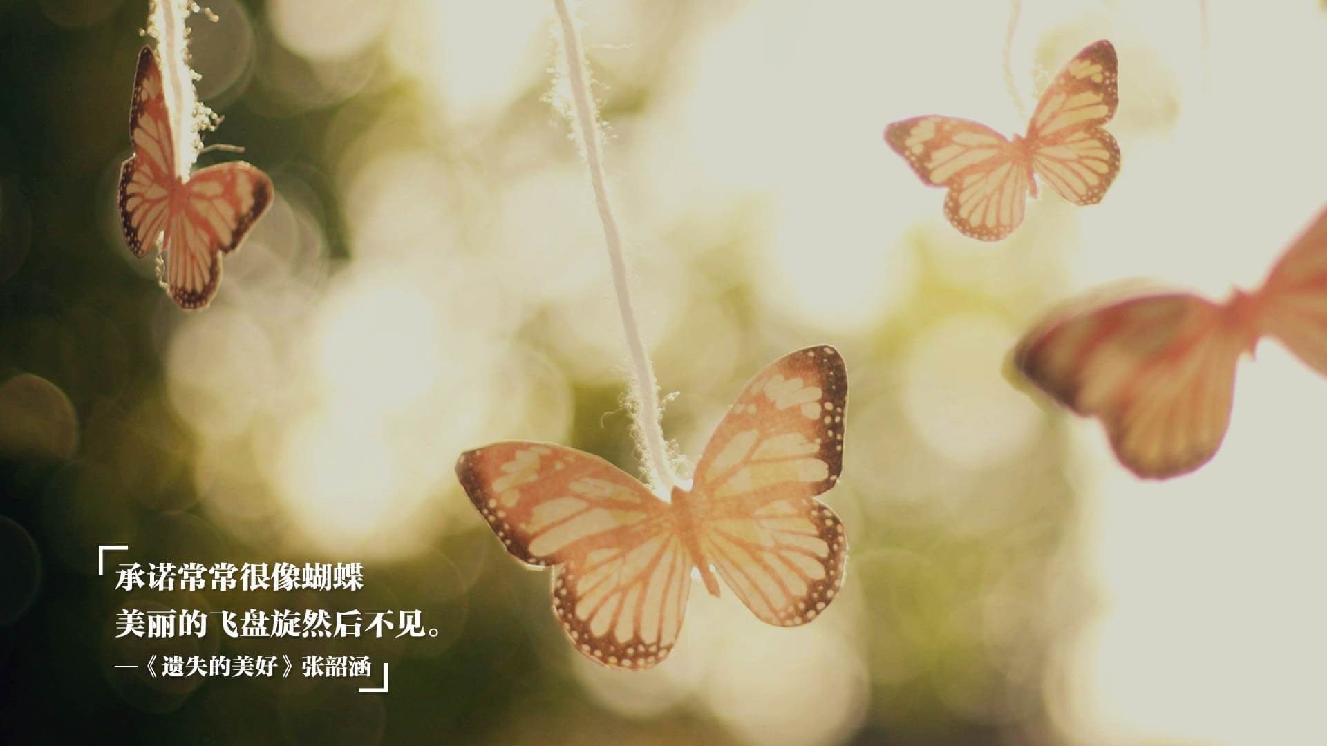 绿茵场与硬木地板的回响，德甲争冠夜与恩比德的压力绽放