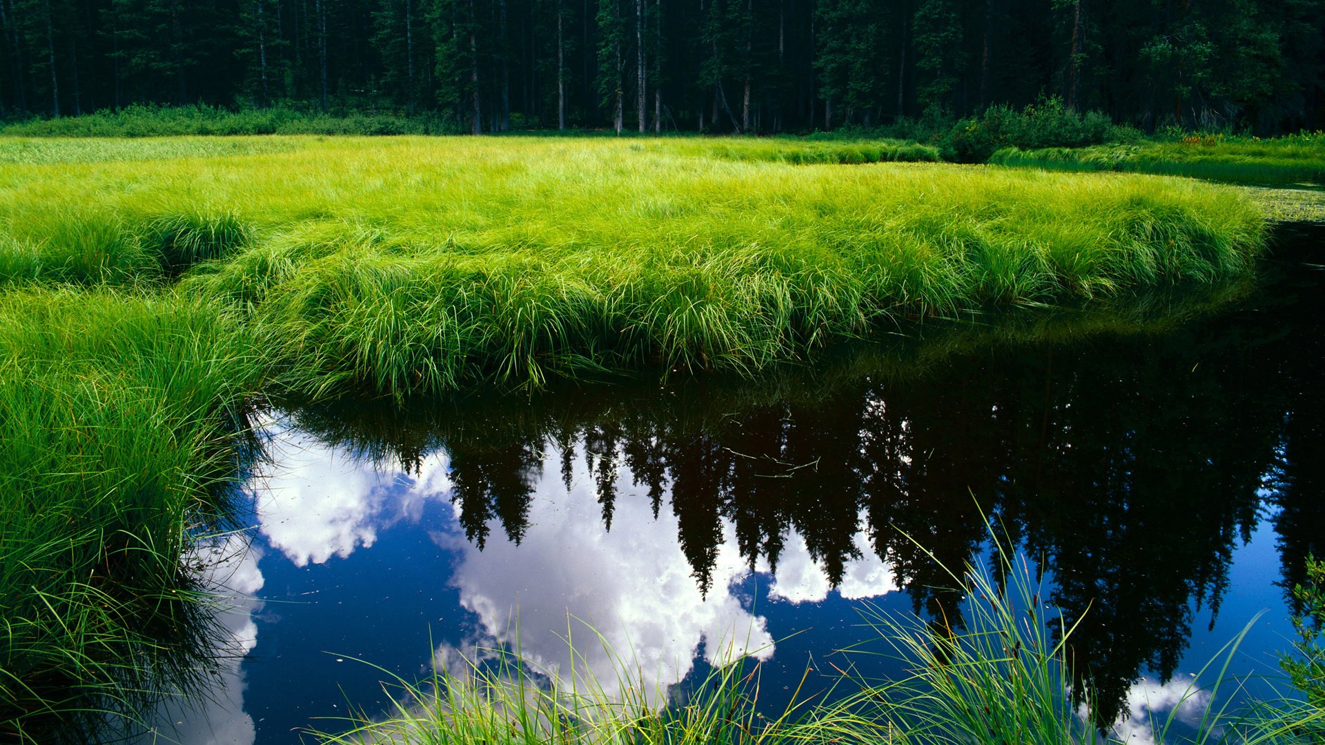 西甲国家德比与CBA巅峰对决,当战术压制成为胜负分水岭