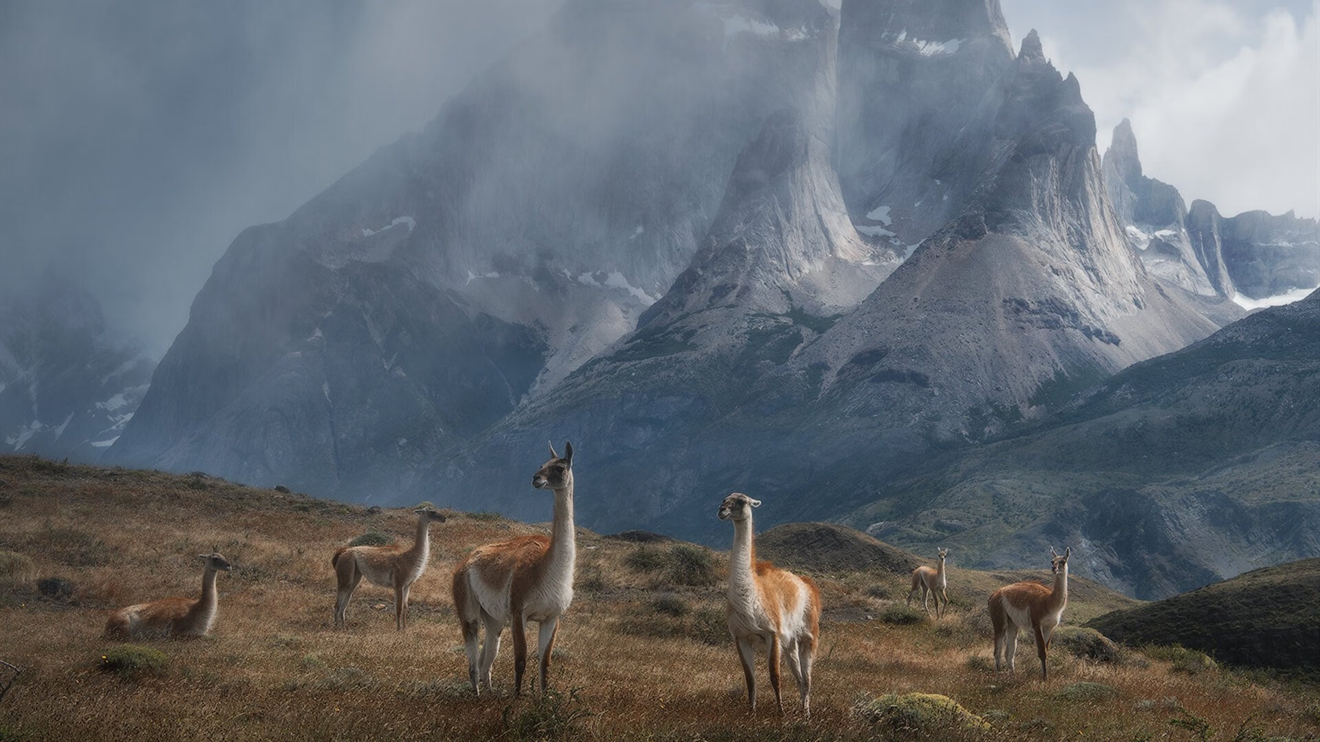 主场风暴与孤星密钥，雷霆豪取广厦，欧文奥运前夜完成自我救赎