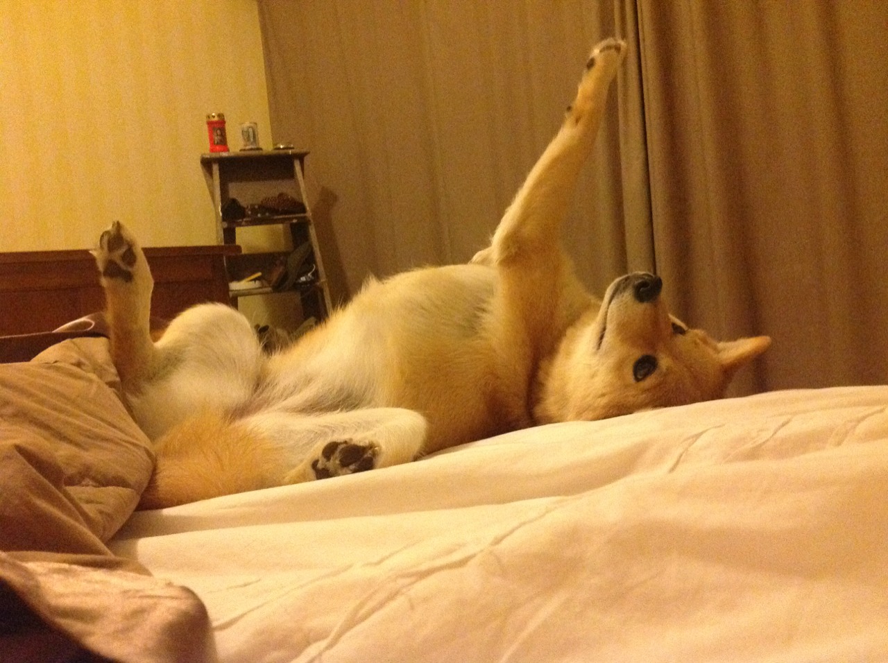 极速与艺术的交汇，F1揭幕战夜，梅西点燃巴林