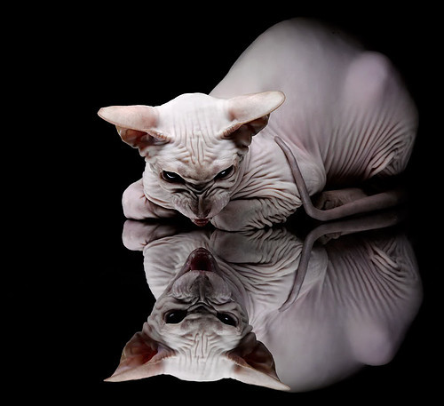 横扫与接管,季后赛的双重奏鸣曲