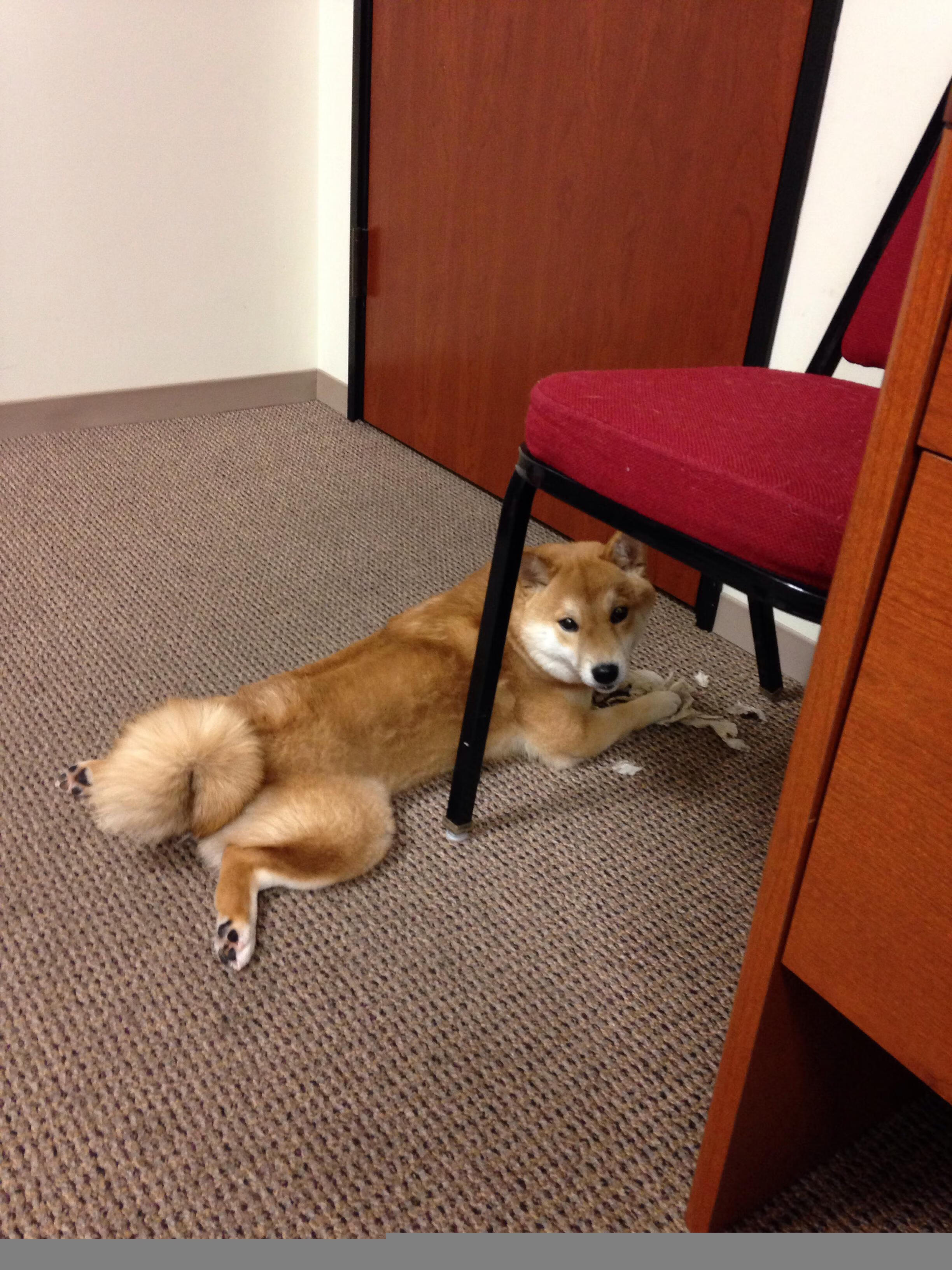 安哥拉力克突尼斯背后，奥亚尔萨瓦尔如何用非典型表演点燃胜利火焰