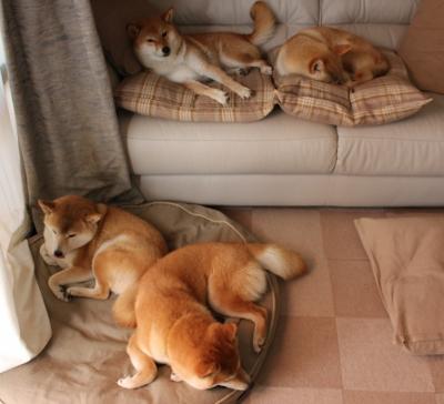 黄潜艇浮出水面，一场改写季后赛抢七血统的秘鲁巅峰决战