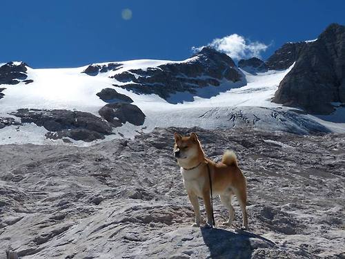 世纪之光，领袖之魂，2026世界杯之夜厄德高定义足坛新价值