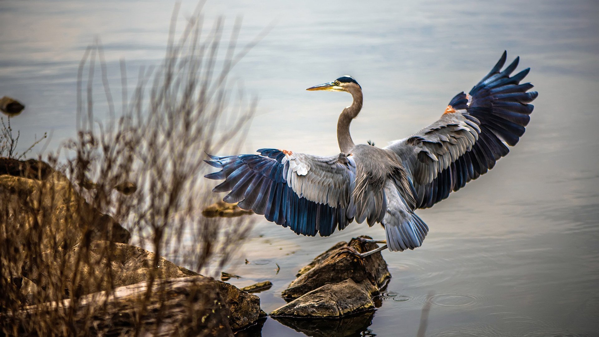 双星闪耀,悬念终结,一个足球之夜的胜利与哀歌