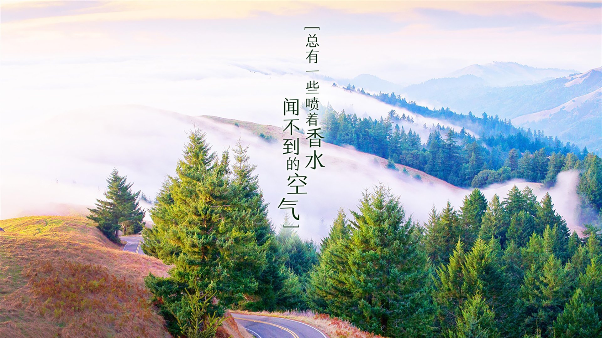 稳稳碾压,福克斯,北京队面前的无解题