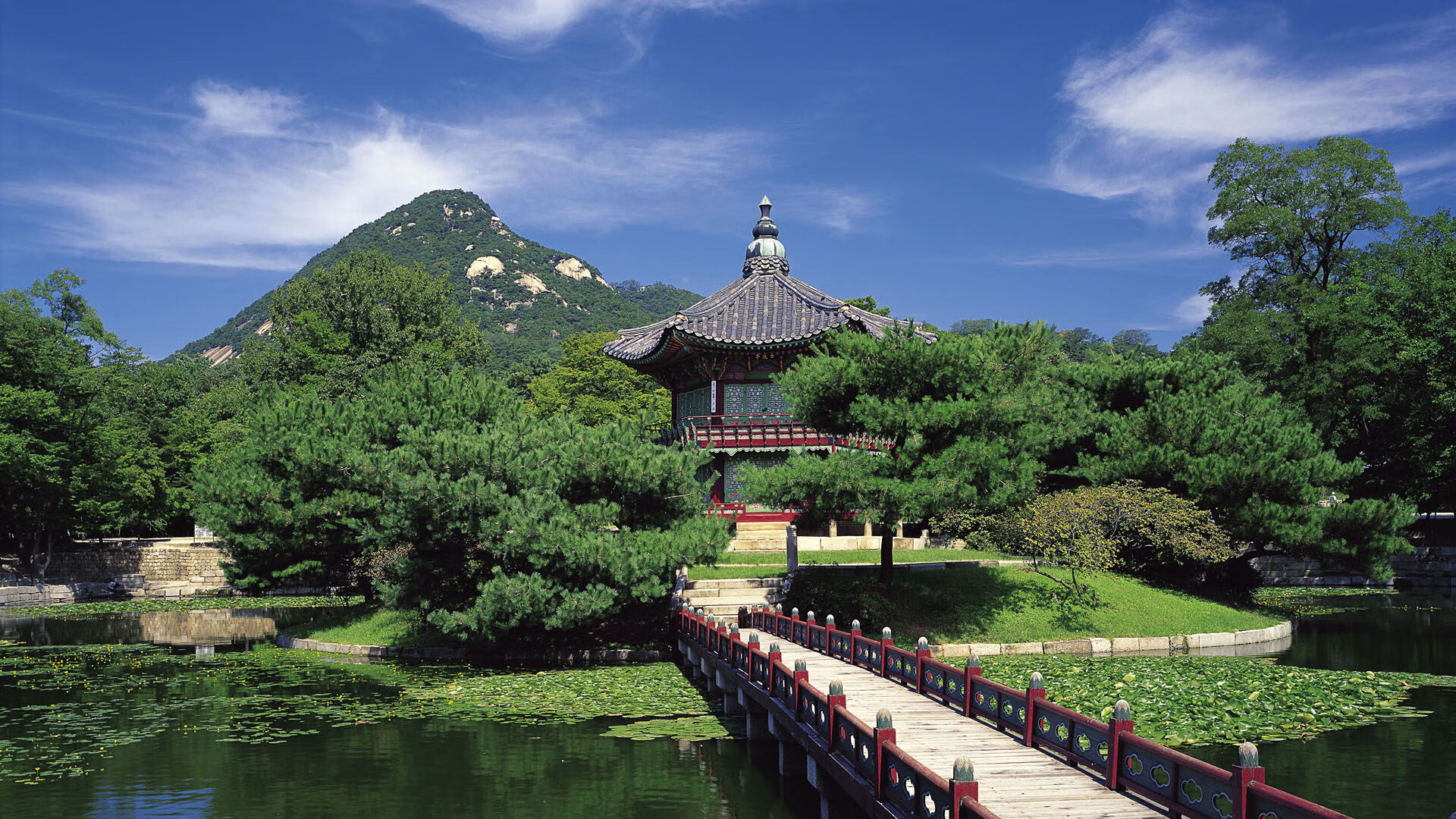 铃木翼舞,日本新星铃木一郎最后一圈绝杀瑞士名将费德勒,赢得F1揭幕战