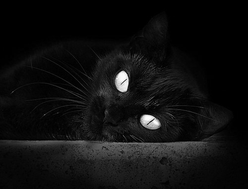 王者归来，字母哥末节接管比赛，率队逆转热火