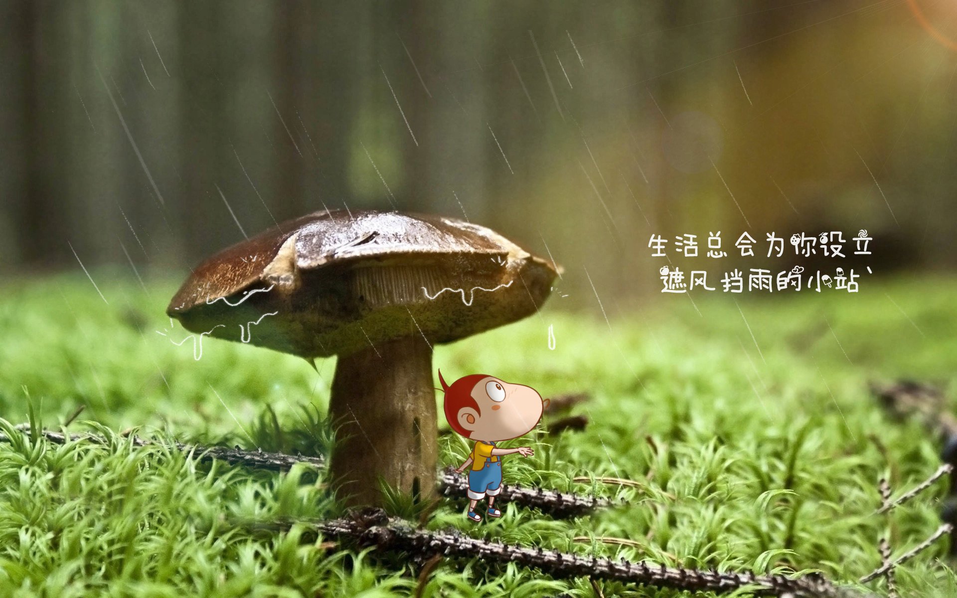 魔笛新传，克罗地亚狂想曲奏响，维尼修斯领衔闪电战击溃澳大利亚