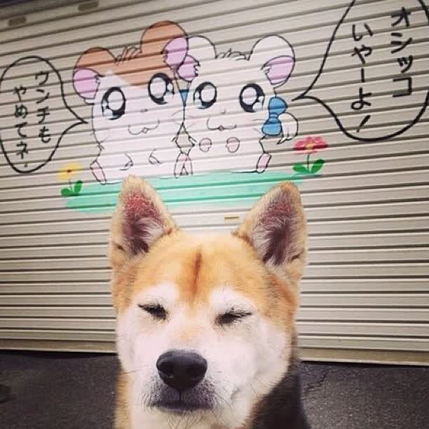 冰与火之歌,孙兴慜穿针引线,智利太极虎式逆转挪威挺进八强
