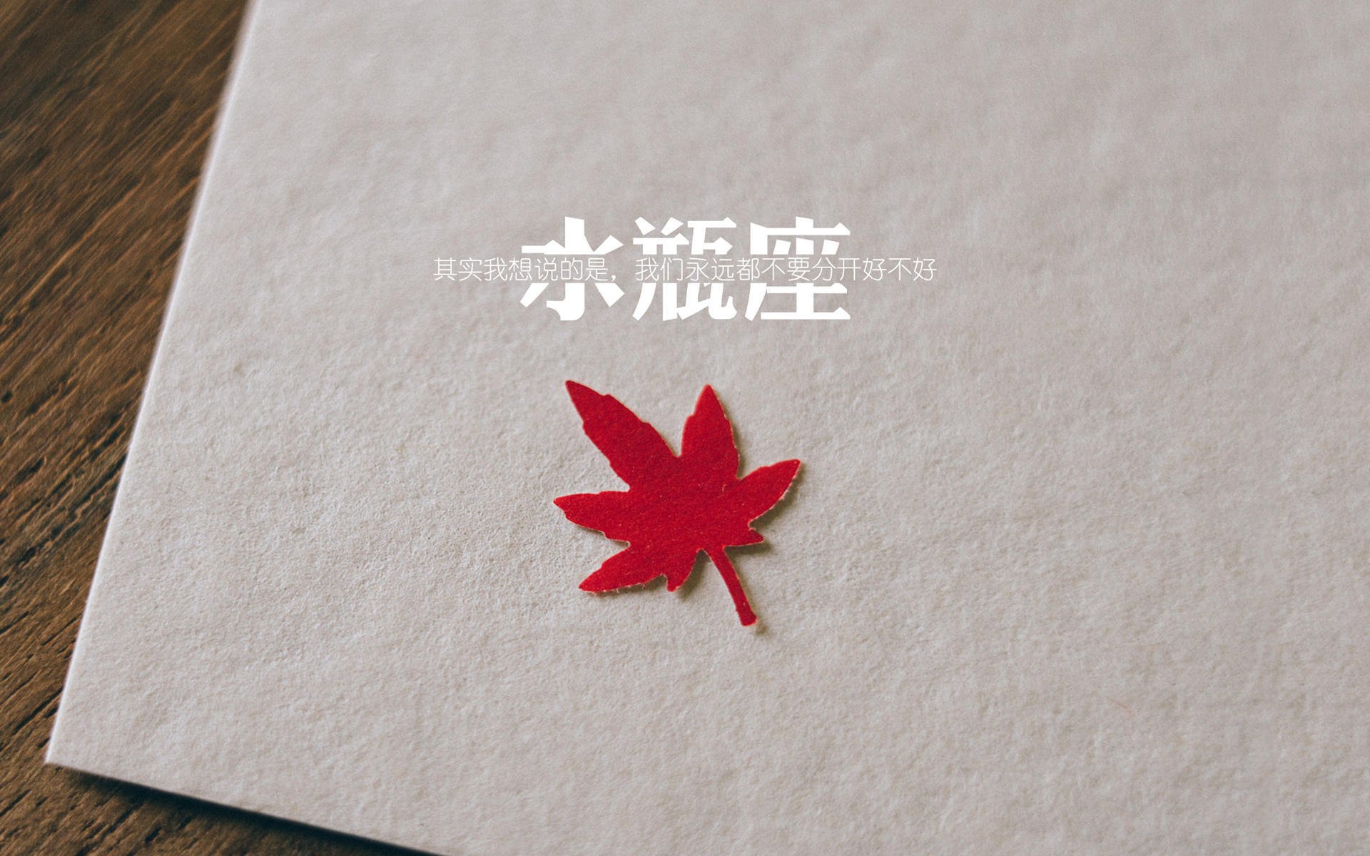 北欧海盗的精密掌控,瑞典如何用节奏碾压泰国,加维成为H组最闪耀新星